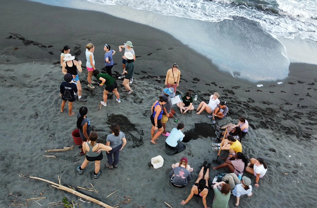 A group of students gather on a sandy beach near the shoreline, some standing and others sitting while working with buckets and tools, engaged in a conservation or research activity. Waves approach the shore in the background.