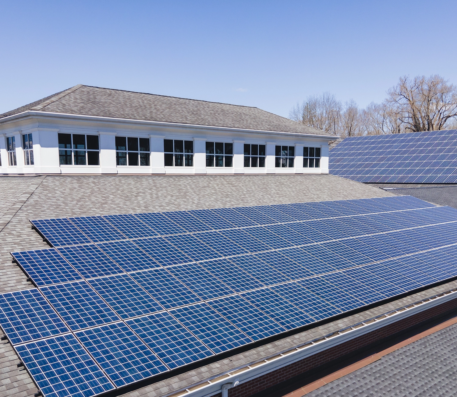 Rows of blue solar panels cover the roofs of a white building under a clear blue sky, with leafless trees visible in the background.