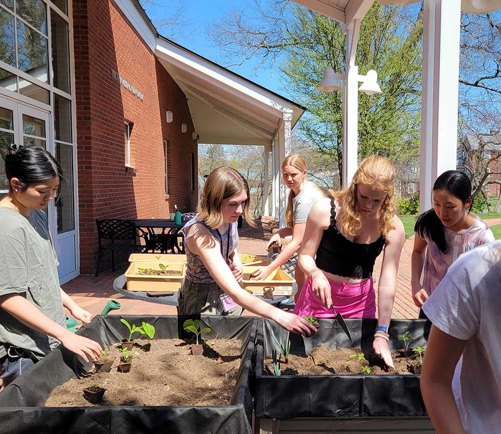 A group of young people plant seedlings in raised garden beds on a sunny day outside a brick building, working together under a covered patio.