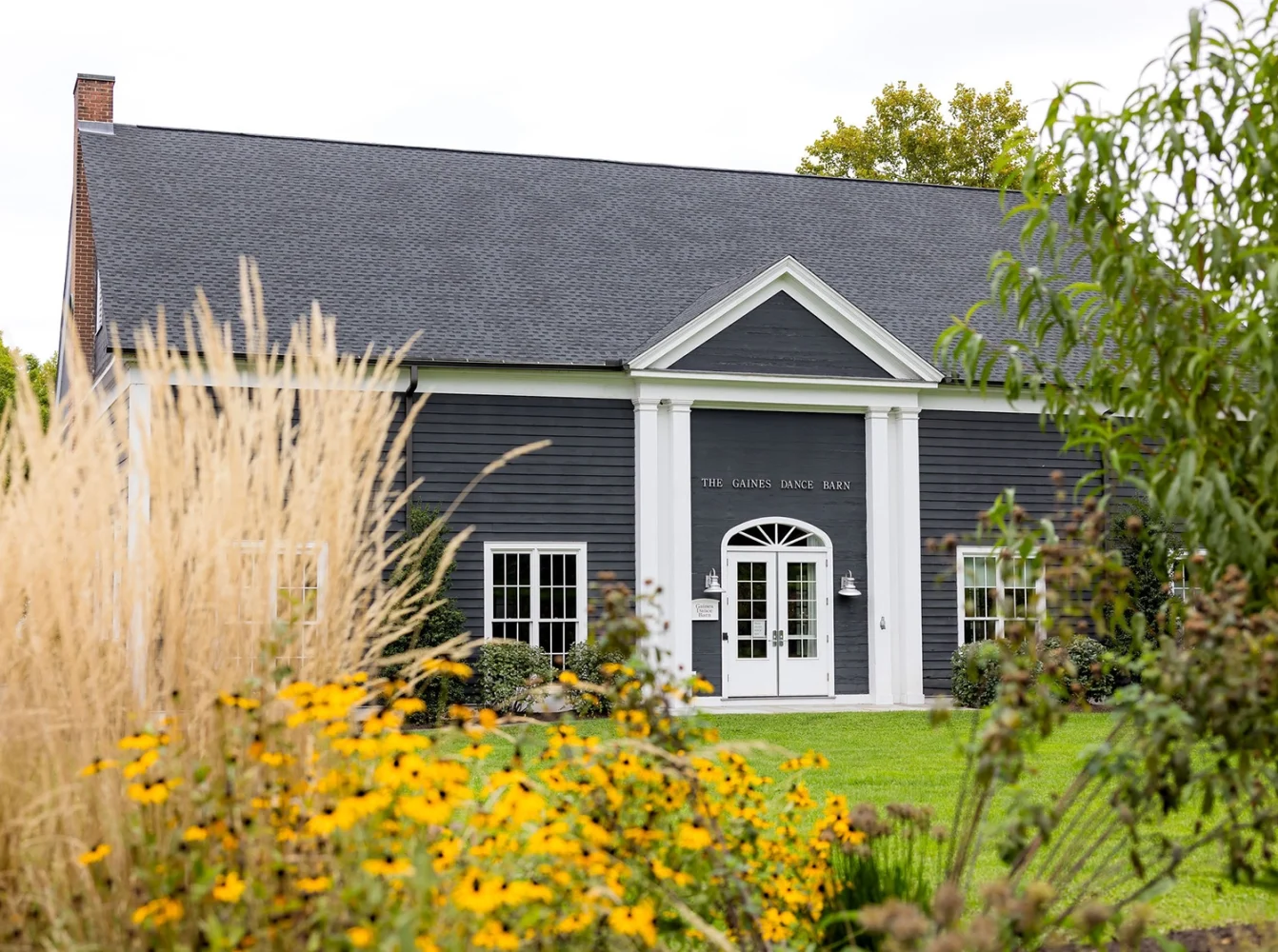 A dark gray building with white trim, columns, and sign reading The Gaines Dance Barn is surrounded by yellow flowers, grass, and shrubs.