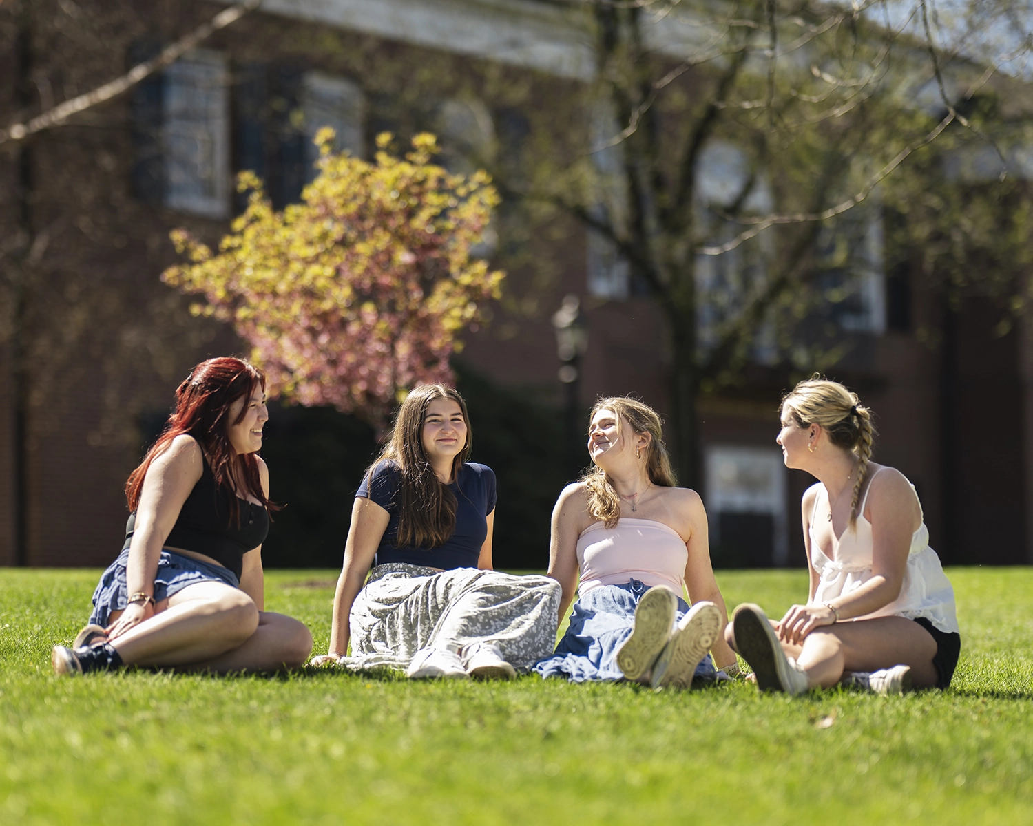 Four young women sit together on grass, smiling and talking on a sunny day with a tree and building in the background.