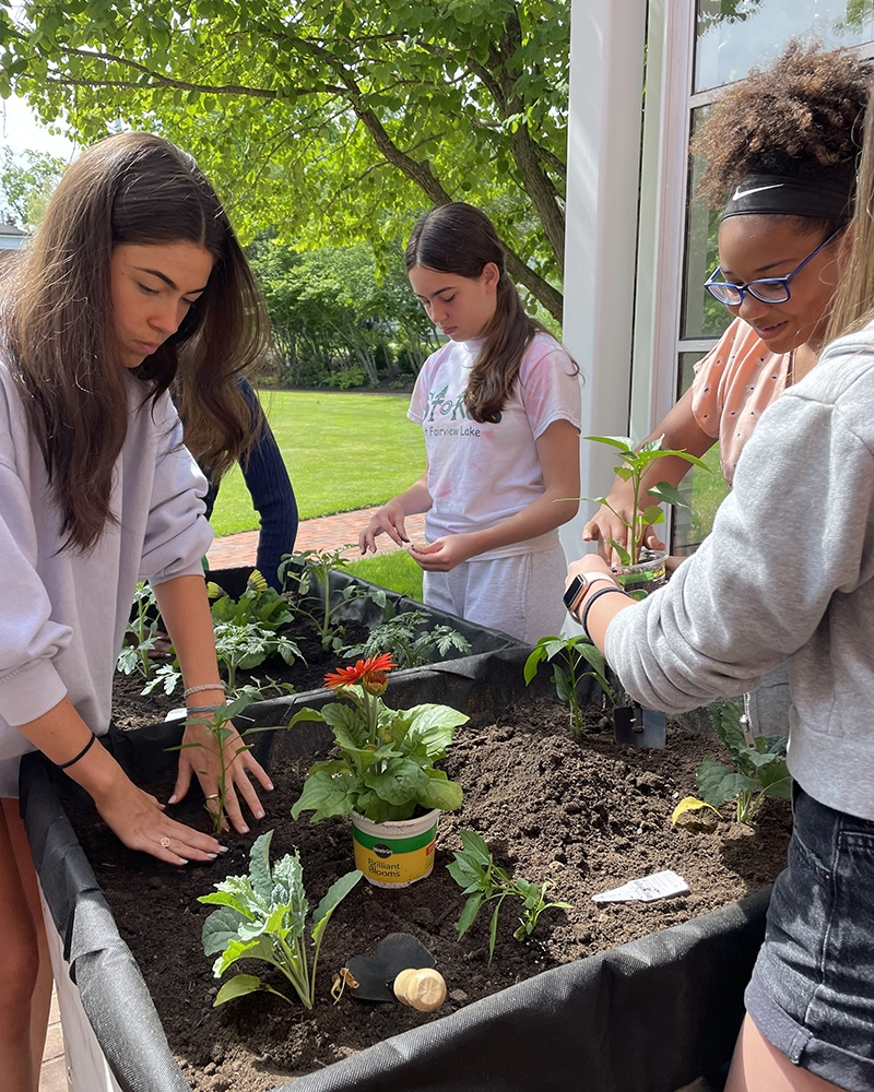Four young people are gardening together, planting flowers and vegetables in a raised garden bed outdoors on a sunny day.