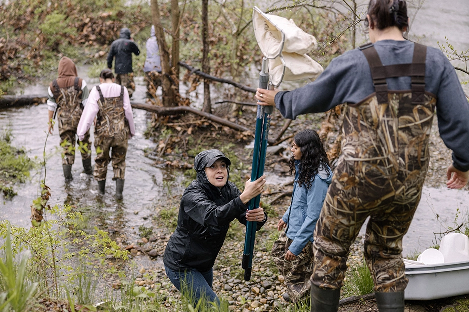 A group of people in waders collect samples and equipment in a shallow, wooded stream. One person hands a net to another while others walk through the water.