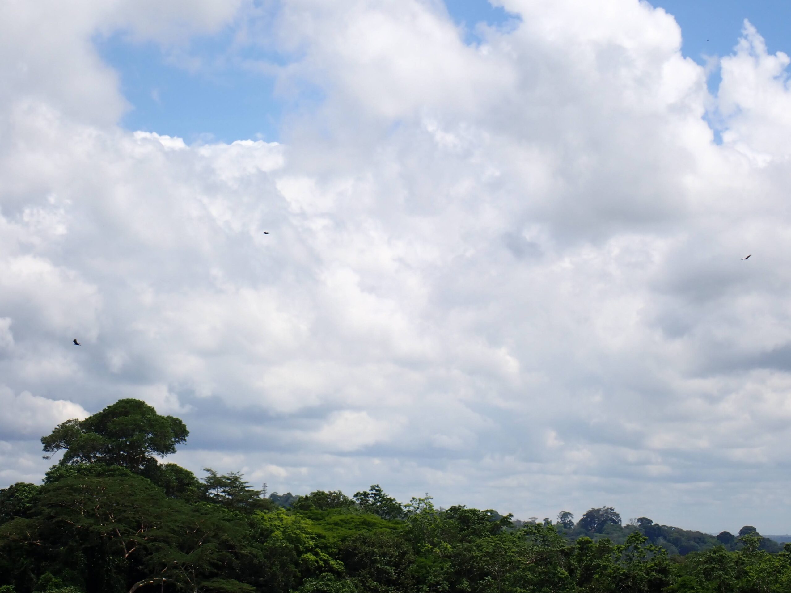 MPS Costa Rica 12