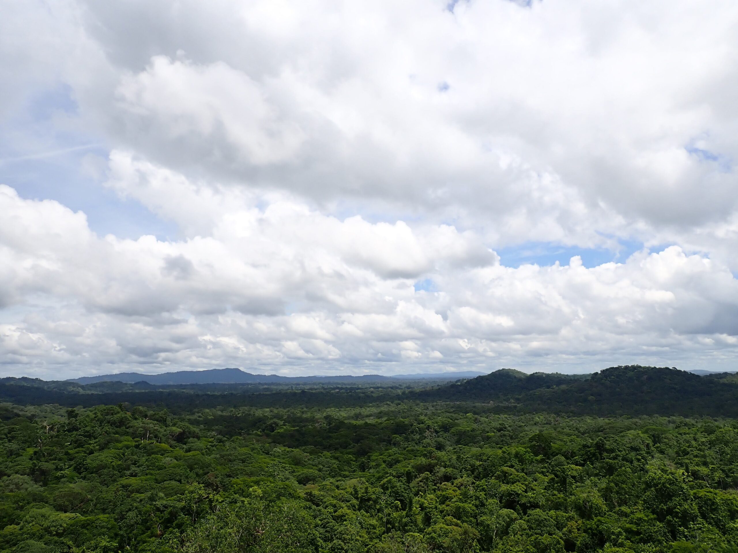 MPS Costa Rica 17