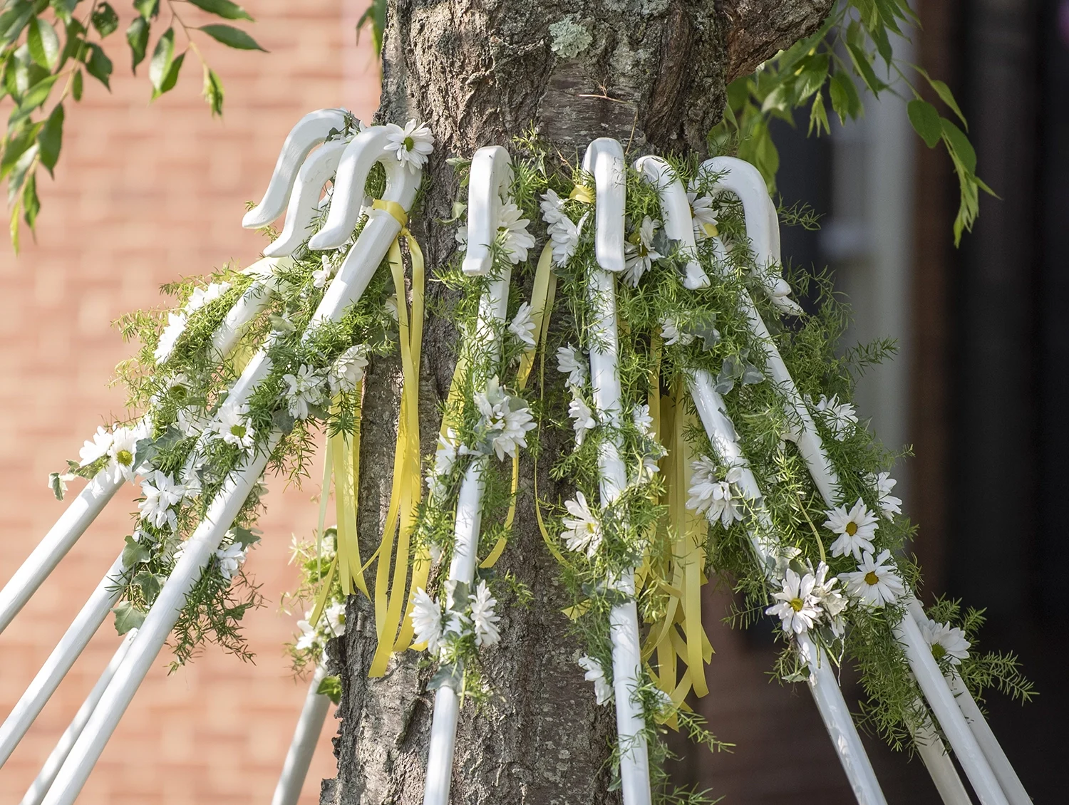 Several white canes with curved handles are leaning against a tree, decorated with green foliage, white flowers, and yellow ribbons, with a brick wall in the background.