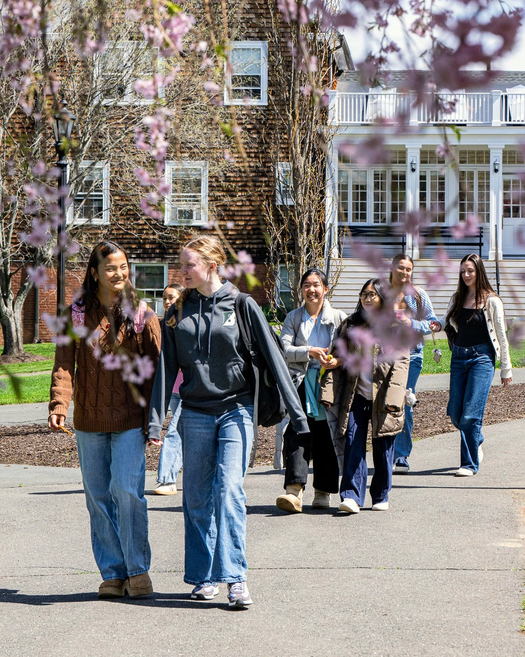 A group of students walk and talk together on a campus pathway lined with blooming trees, with a large building visible in the background.