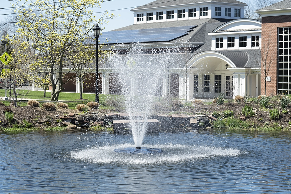 A water fountain sprays upward in the center of a pond, surrounded by landscaped plants and trees, with a modern brick and glass building in the background on a sunny day.