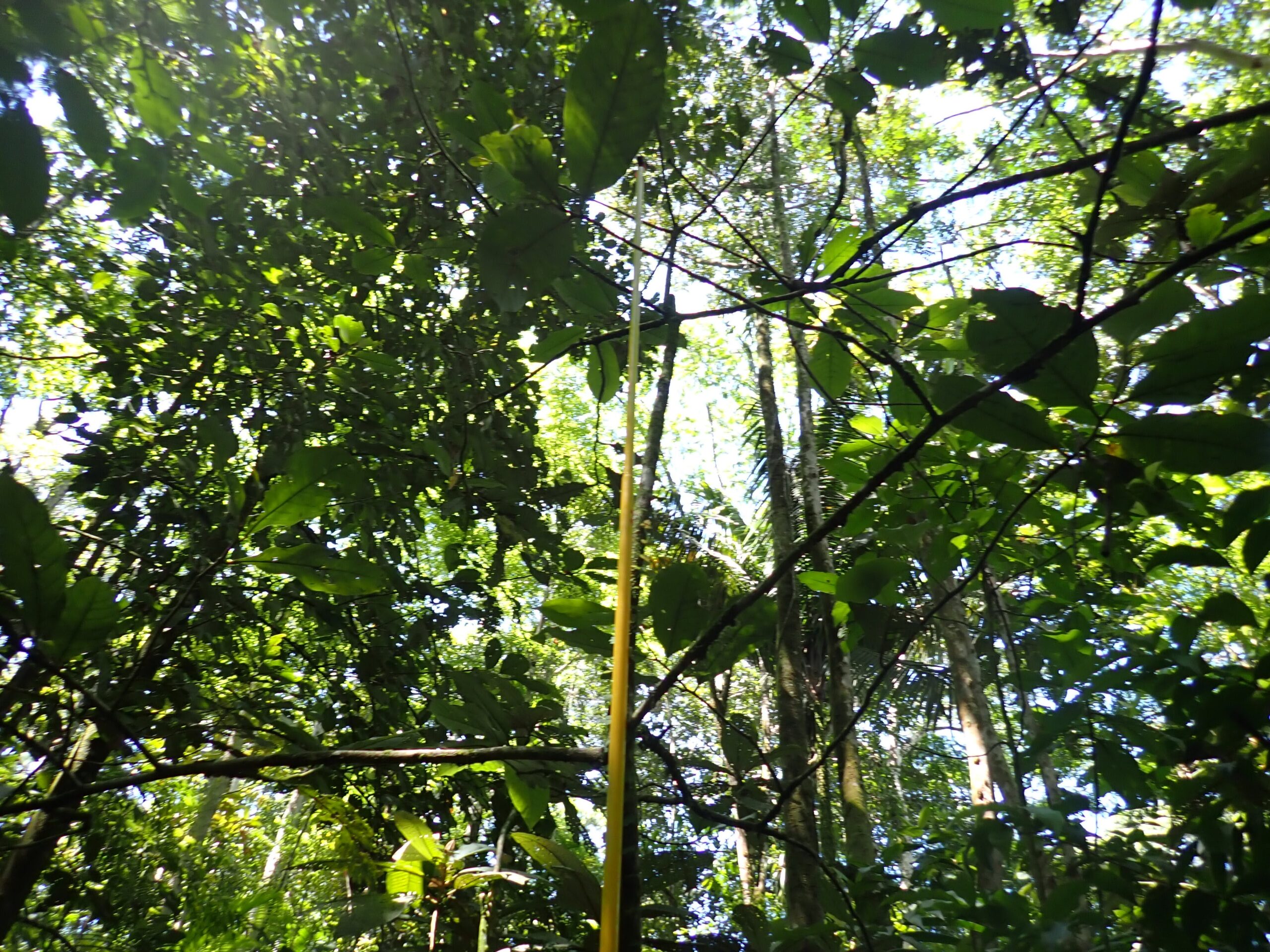 PA081151