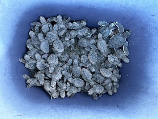 unnamed4