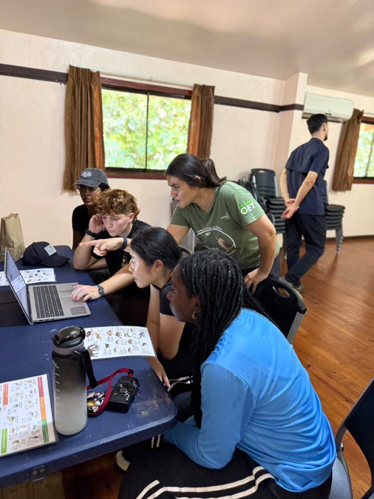 Four people cluster around a laptop on a blue table to review printed wildlife identification sheets, while another person stands in the background.