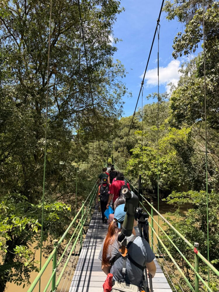 A group of people walking across a suspension bridge through a lush, forested area over a river.