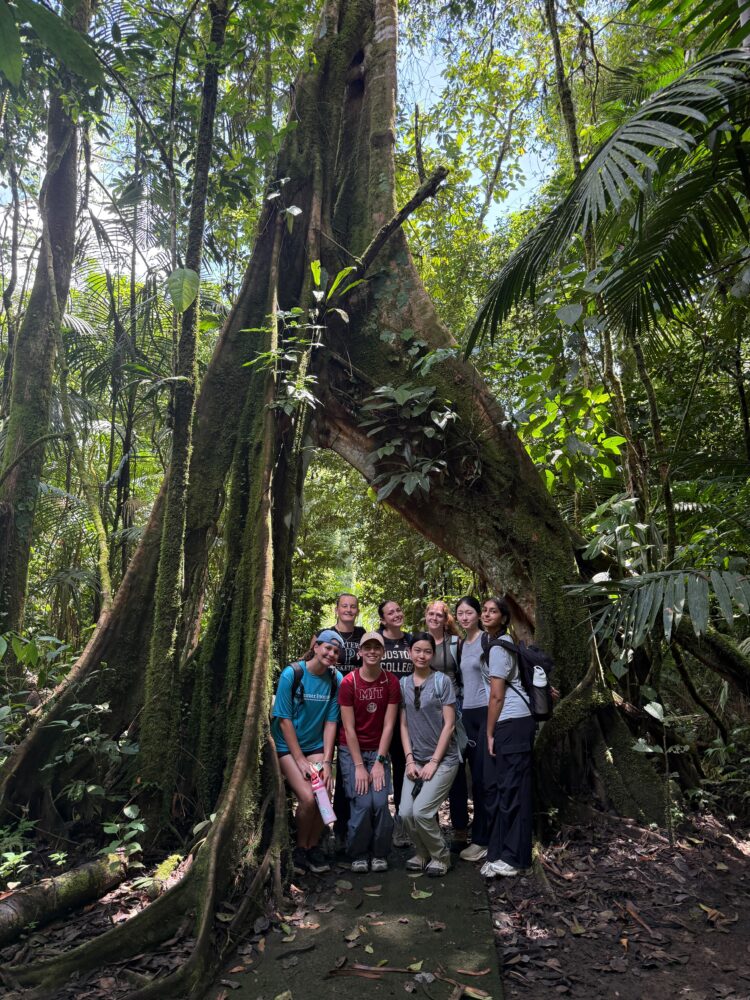 A group of seven people stand in a small clearing under the arched roots of a large mossy tree in a rainforest.