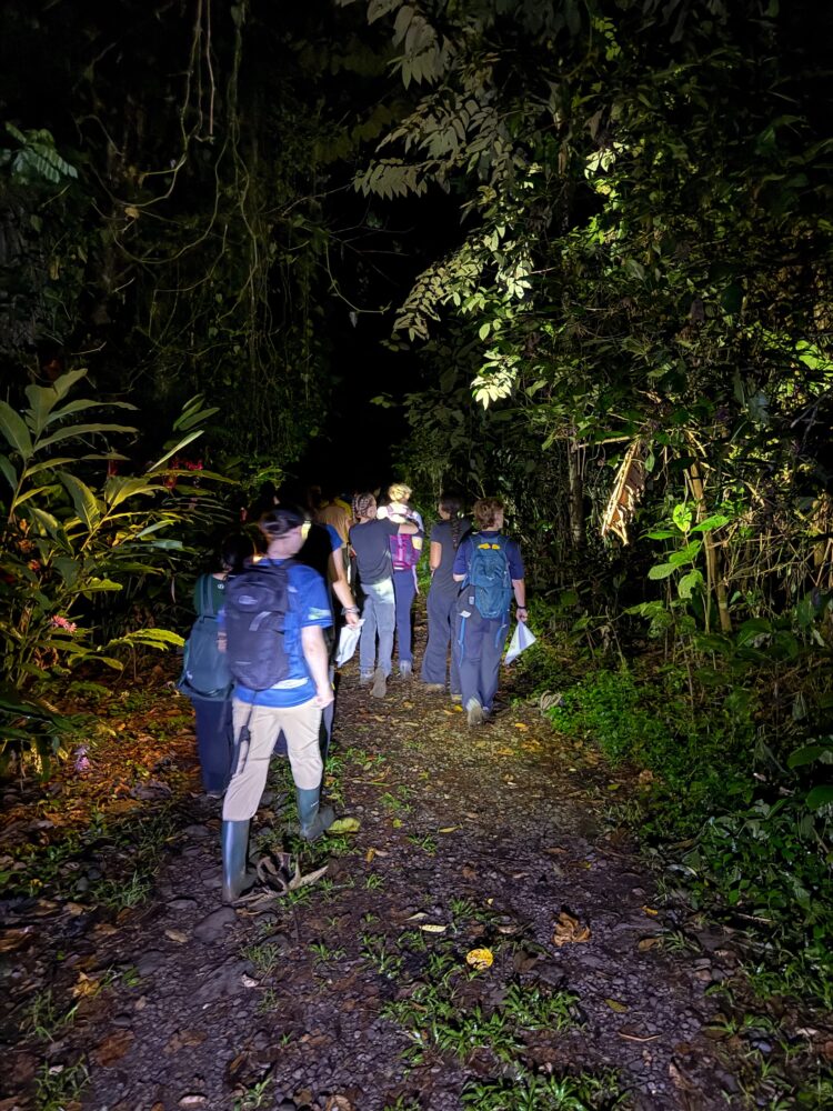 A group of people wearing backpacks and carrying flashlights walk along a dark forest path at night.
