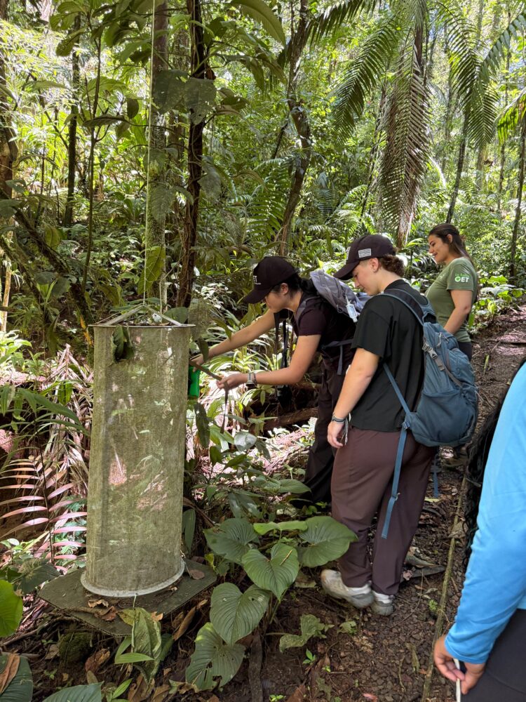 Three people in a lush, dense forest examine a tall, cylindrical scientific instrument mounted on a wooden base.