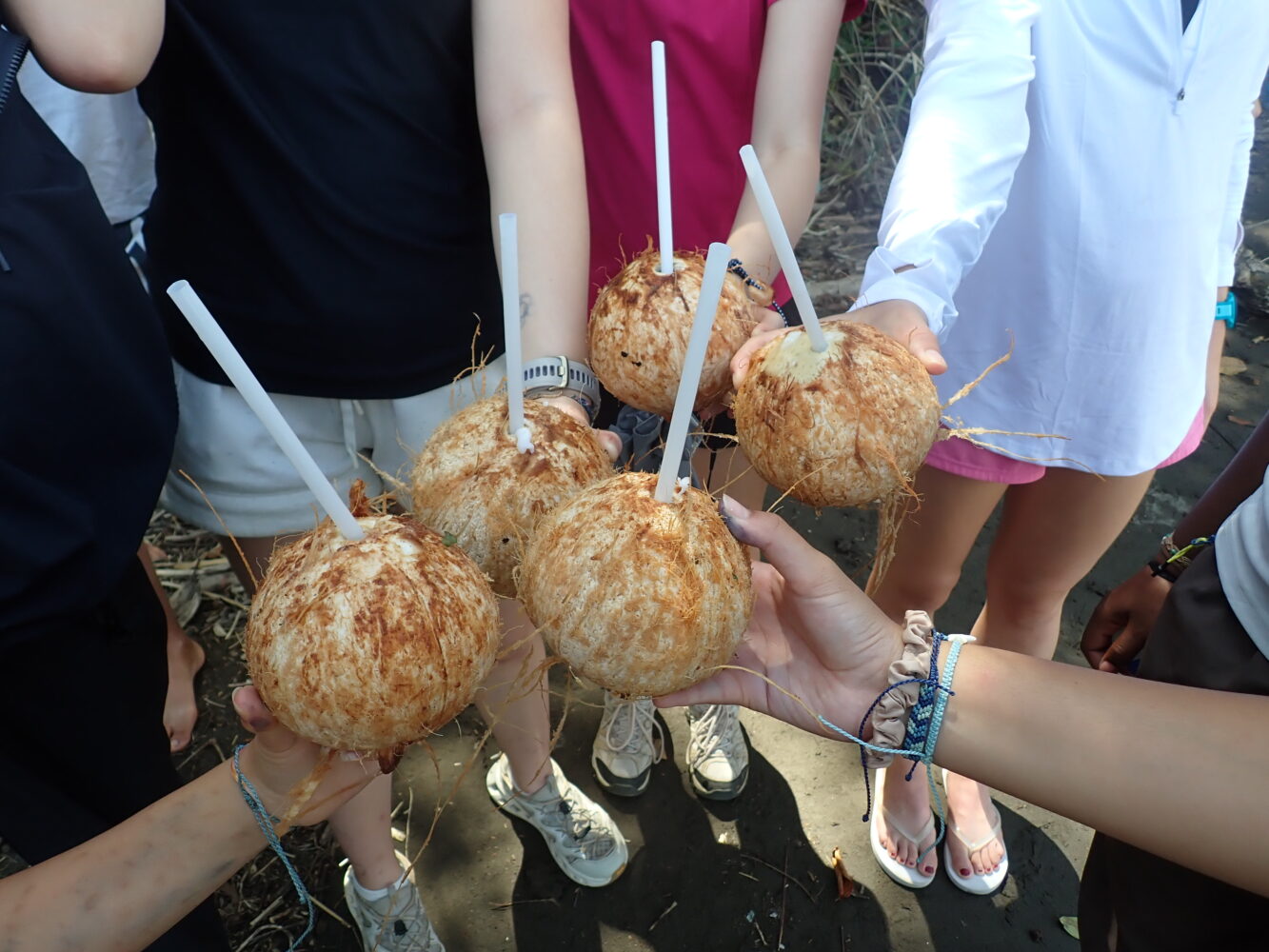 Four people holding whole coconuts with white straws inserted in a toast.