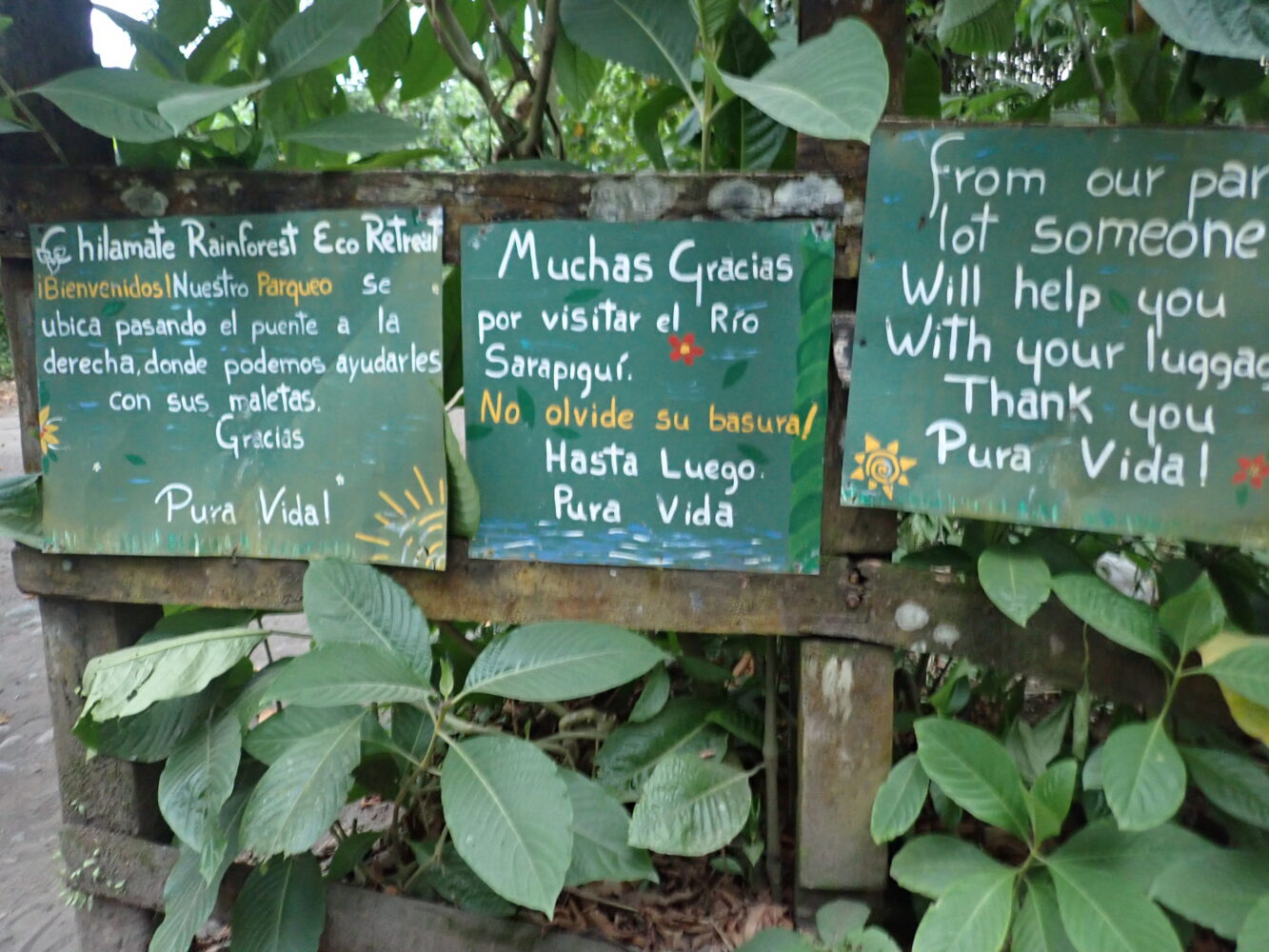 Three wooden signs with hand-painted messages in Spanish and English welcoming visitors to the Chilamate Rainforest Eco Retreat and reminding them to dispose of their trash.