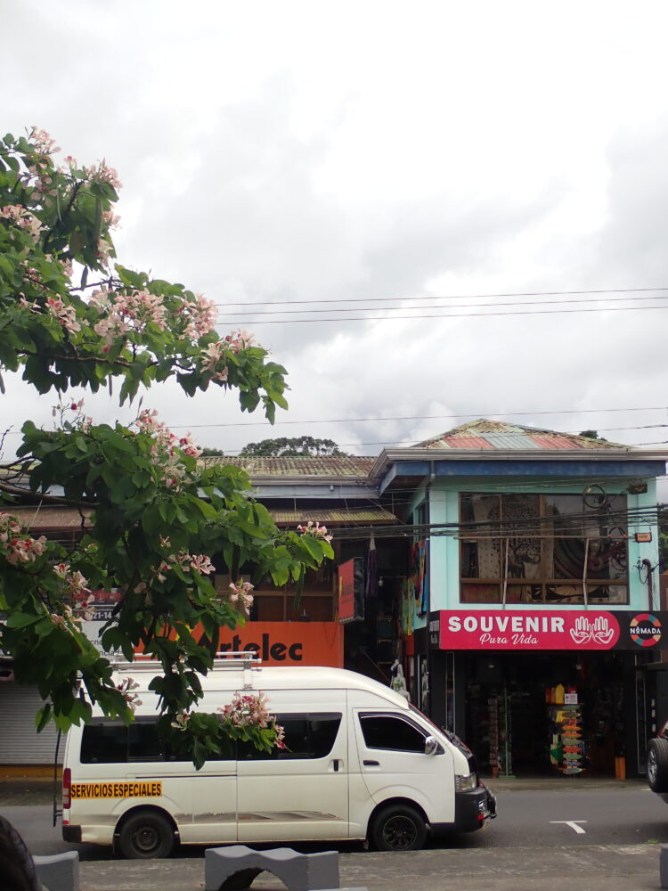 A white van with SERVICIOS ESPECIALES on its side parked in front of a souvenir shop and a building with a pink sign reading SOUVENIR Pura Vida, framed by a blooming pink tree in the foreground.