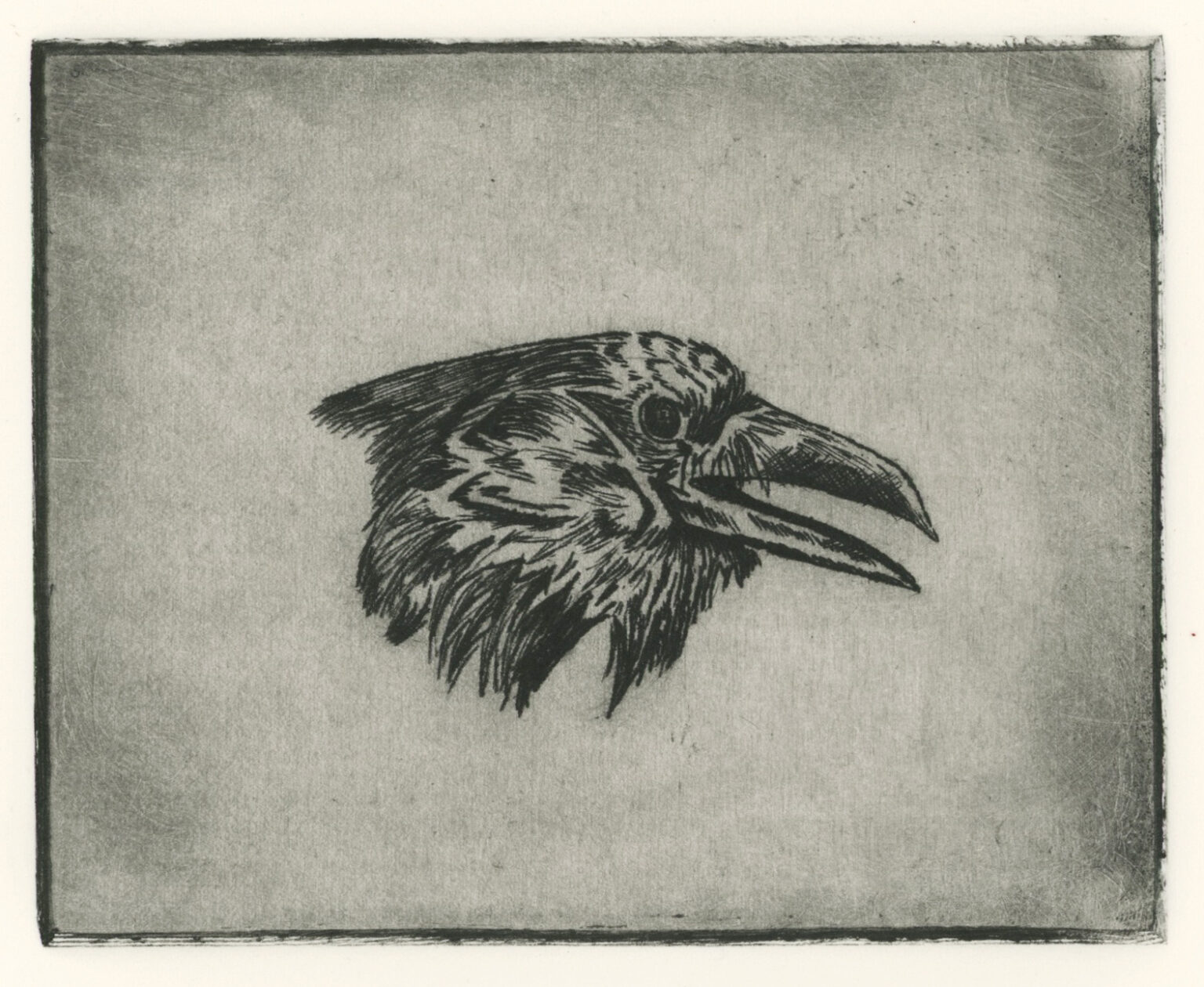 Copy of Audra Regan etching