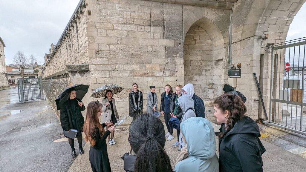 PXL 20240209 131637511