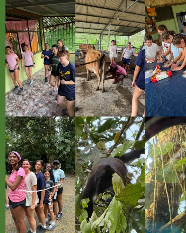 Students in our AIS Global Intensive Costa Rica: Culture of Conservation course are exploring the country's remarkable …