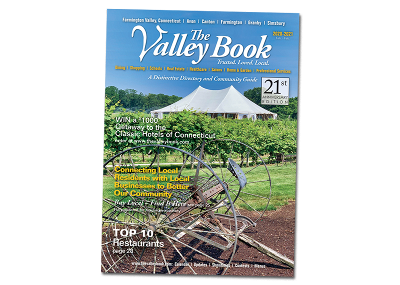 thevalleybook